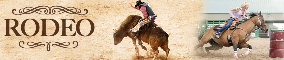rodeo porta potty rental