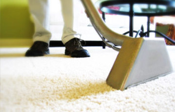 How to Choose a Professional Carpet Cleaning Company