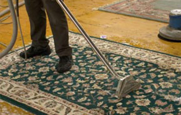 Professional Area Rug Cleaning