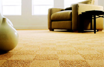 Protect Your Carpet Color