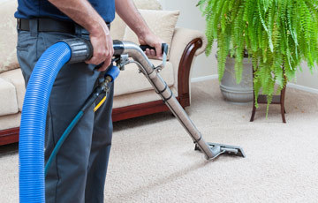 Benefits of Professional Carpet Cleaners